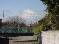 ¾줫ٻλ