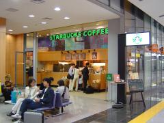 STARBUCKS #515
