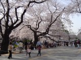 [칩κ(1)]
