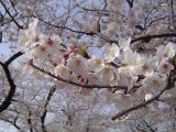 [칩κ(2)]